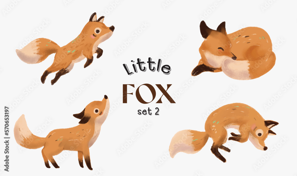 Cute little fox illustration Cute little fox illustration