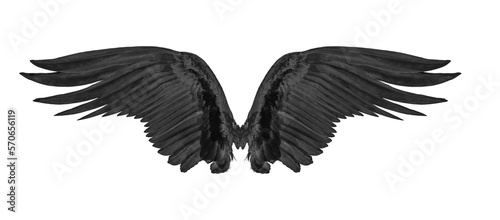 black wing isolated on transparent png