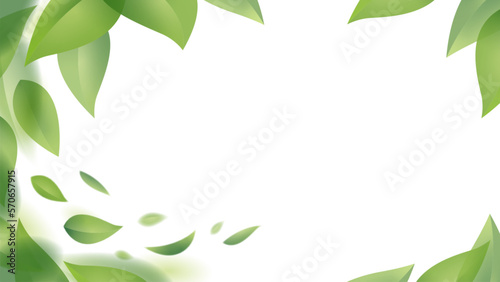 Green leaves in motion design. Fresh flying foliage in the wind isolated on a white background. Vector illustration.