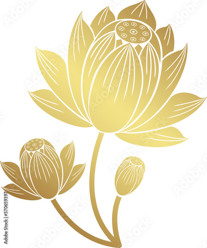 lotus art and flower style asian art luxury buddhism temple element and background pattern png file for decoration