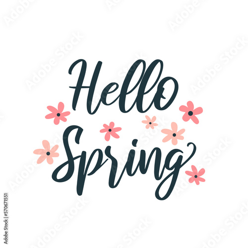 Hello Spring. Hand drawn lettering with flowers. Design for greeting card  poster  banner  invitation.