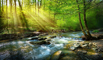 Glasbilder Natur spring forest nature landscape,  beautiful spring stream, river rocks in mountain forest  © Konstiantyn