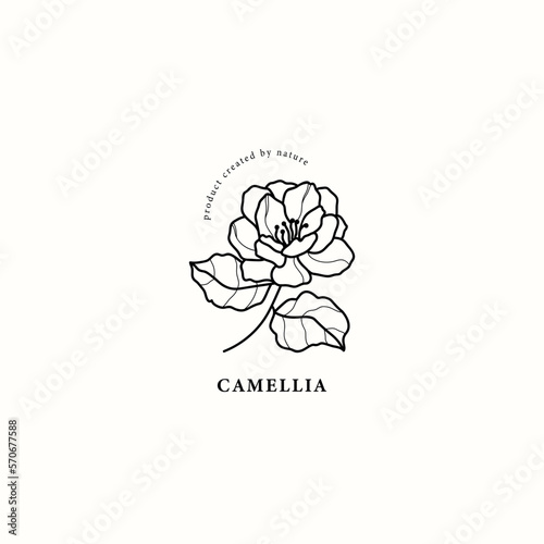 Photos Line art camellia flower illustration