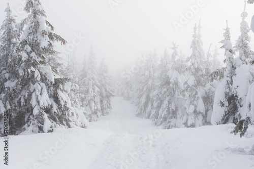 Misty and moody Winter scenery with mountain trail