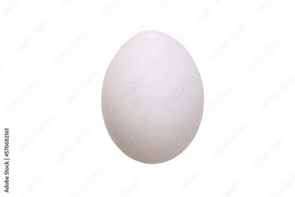 Perfect egg layout, isolated, transparent background, PNG. Perfect egg layout, isolated, transparent background, PNG.