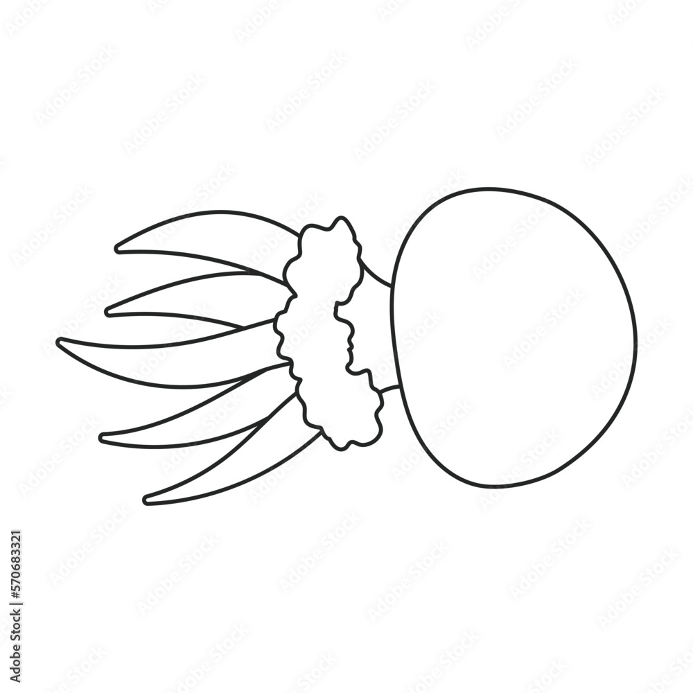 Jellyfish vector icon.Outline vector icon isolated on white background jellyfish.