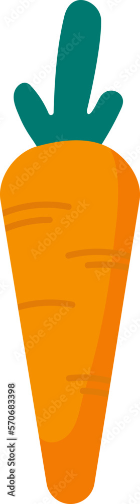 Obraz premium Carrot Icon