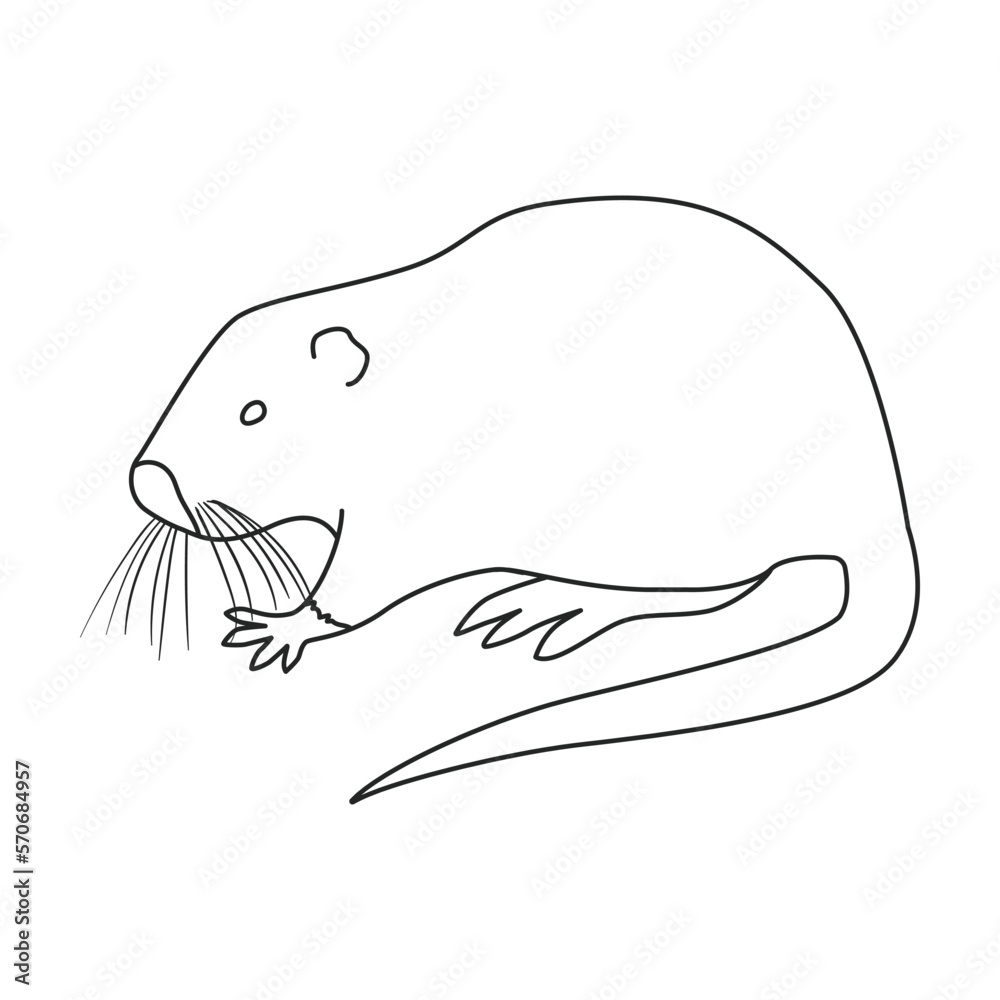 Rat vector icon.Outline vector icon isolated on white background rat.