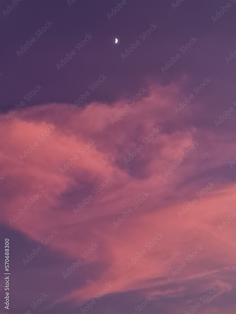 Pink clouds in the sky