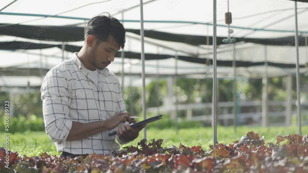 Happy smiling asian young farmer holding tablet looking at organic