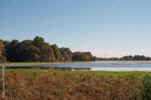 Tidal Pond in Henlopen Park Surrounded by Trees and Sky