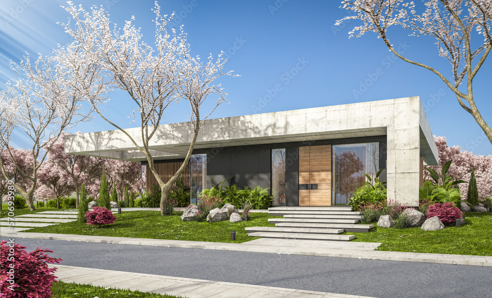 3d rendering of new concrete house in modern style with pool and parking for sale or rent and beautiful landscaping on background. Fresh spring day with a blooming trees with flowers of sakura.