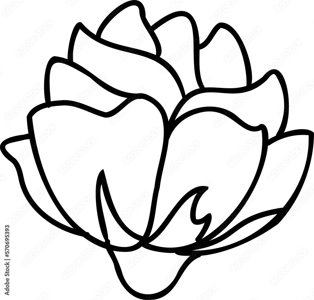 Line art flower. Line art hand drawn stile linear flower. PNG with transparent background Line art flower. Line art hand drawn stile linear flower. PNG with transparent background