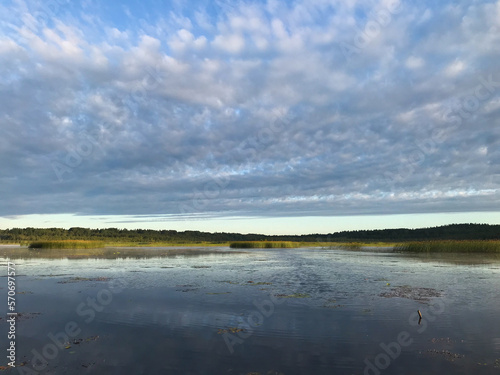 Summer landscape on the lake with blue sky with reflection of clouds in the lake. Tourism and travel concept.