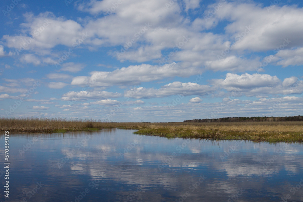 Spring landscape with blue sky and reflection of trees in the lake. Tourism and travel concept.