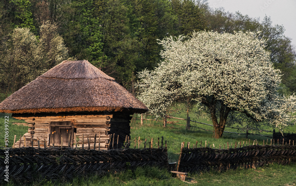 An old log shed behind a wattle fence at the edge of a forest. Spring landscape. Selective focus. An old log shed behind a wattle fence at the edge of a forest. Spring landscape. Selective focus.