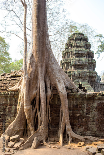 Angkor Wat (ID: 570701540)