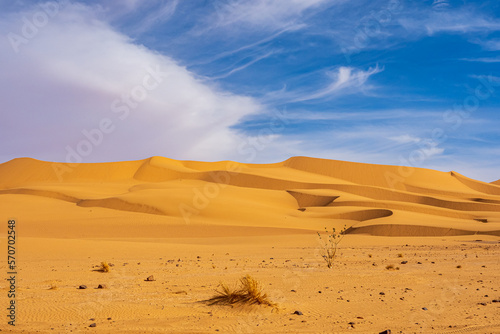 beautiful view in the Desert Sahara in Algeria