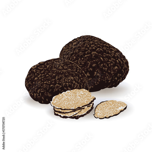 Photography Black truffles isolated on a white background