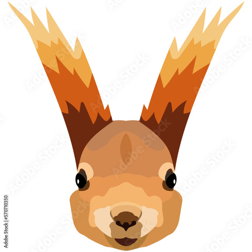 Squirrel face. An illustration of the muzzle of an orange rodent is depicted. Bright portrait on a white background. Vector graphics. animal logo