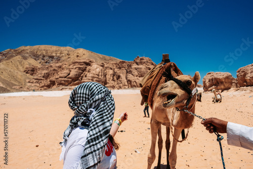 girl petting camel in the desert of egypt © Arlington Vance