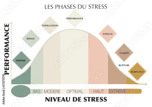 Stress management infographic. Stress curve. Performance and phase of stress. Simple and minimalist illustration.