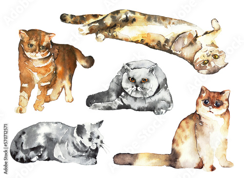 Set of watercolor cats in different poses. Pets.