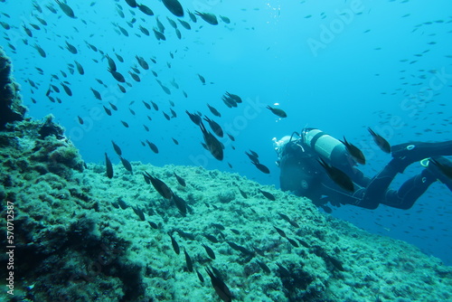 Fotografia Diver with a school of fish in the sea off the coast of Mallorca
