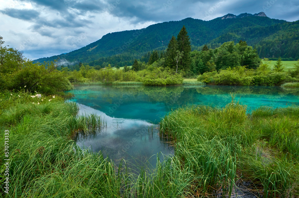 Clear waters of a small lake on a rainy day in Zelenci nature reserve, Slovenia