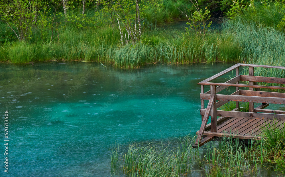 Obraz premium Clear waters of a small lake on a rainy day in Zelenci nature reserve, Slovenia