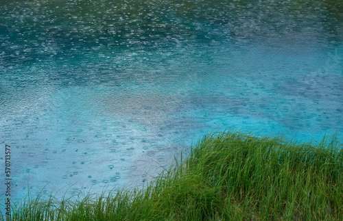 Clear waters of a small lake on a rainy day in Zelenci nature reserve, Slovenia