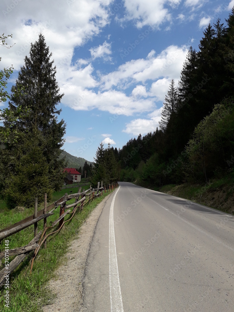 Сarpathians Ukraine. Landscape mountains and river. Flowers, fruits and animals. Сarpathians Ukraine. Landscape mountains and river. Flowers, fruits and animals.