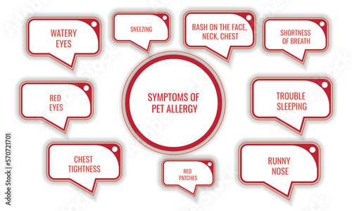 symptoms of pet allergy. Vector illustration for medical journal or brochure.