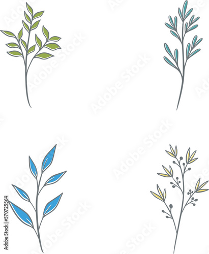 Botanical color illustrations  vector set with drawn leaves  herbs and flowers  collection of flowers isolated on a white background
