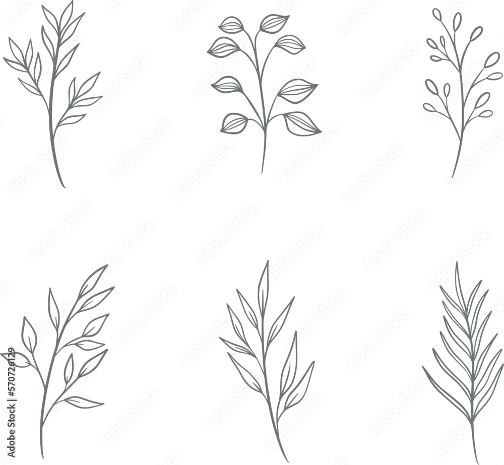 Set of hand drawn doodle floral elements. vector graphic botanical elements Set of hand drawn doodle floral elements. vector graphic botanical elements