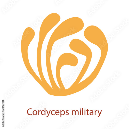 Cordyceps logo. Medical mushroom cordyceps military for medical nutrition