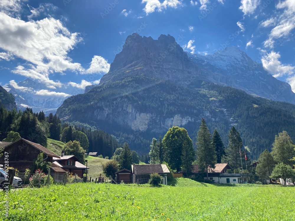 Obraz premium Sunny summer hiking path in the mountains. Rocky Mountain in the summer with trees and forest. Walking in the mountains and forest with blue sky. Summer travel hiking in Europe.