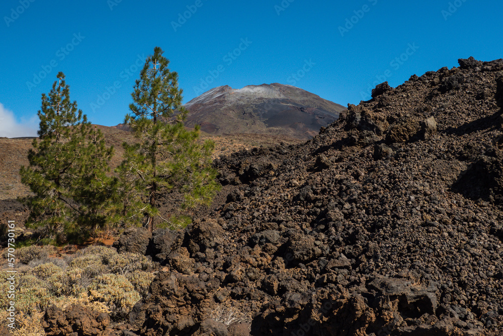 Volcanic area at El Teide National Park impression Tenerife Canary Islands, Spain