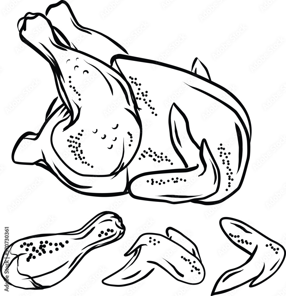 Hand Drawn Sketch Buffalo Chicken Wings Stock Vector (Royalty Free)  1012747657 | Shutterstock