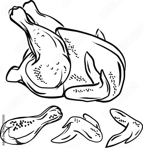 Whole chicken, chicken legs and wings, black outline. Grilled chicken. Part cutting of roasted and raw chicken, set. Vector illustration.