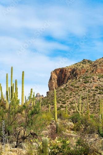 Desert cliffs in tuscon arizona at sabino national park on mission view trail in southwestern US with cactuses