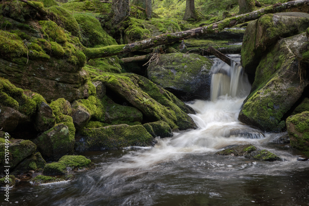 mountain stream in the forest - long exposure and flowing water