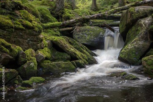 mountain stream in the forest - long exposure and flowing water