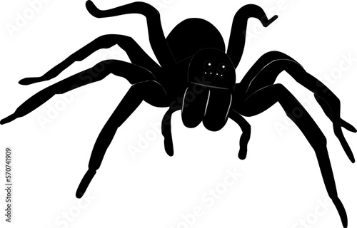 black and white wolf spider vector