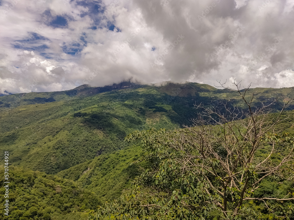 montaña, ecosistema de la selva tropical y concepto de medio ambiente saludable