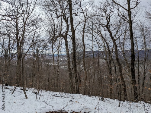 snowy forest, mountains, in the eastern US