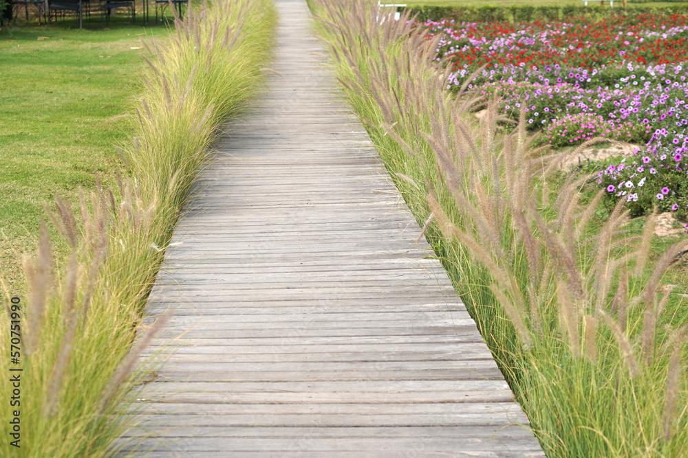 The old wooden walkway around is a beautiful grass. for walking in the flower garden