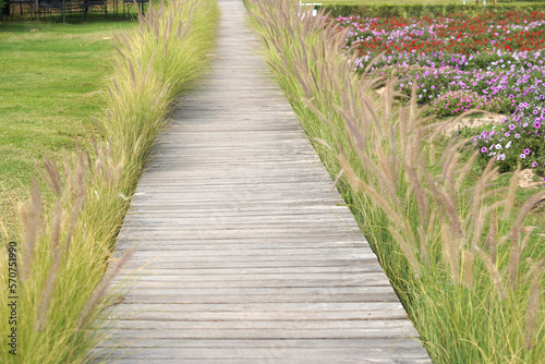 The old wooden walkway around is a beautiful grass. for walking in the flower garden