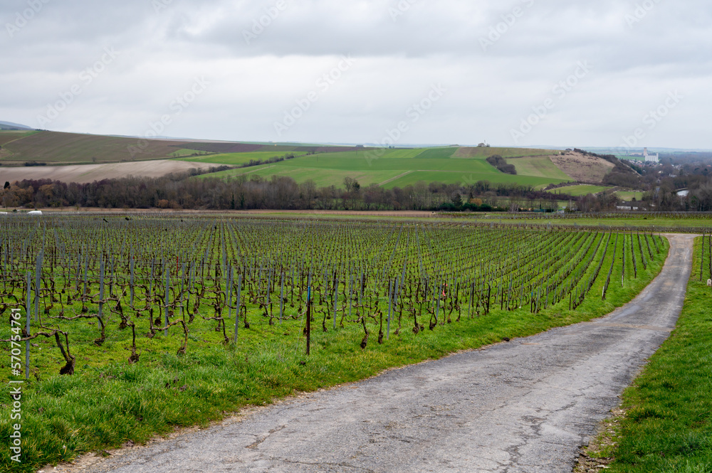 View of Champagne gran cru vineyards and Marne river near Ay village at winter
