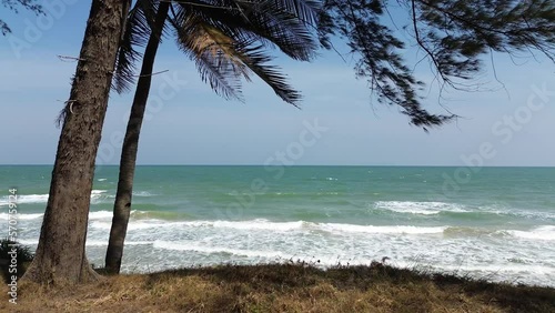 frying over trees on the beach
